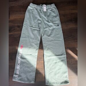 Abercrombie & Fitch Sage Green Logo Joggers with Pink Accent